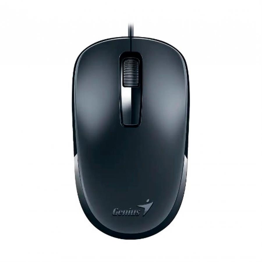 Mouse Genius Dx-125s Usb Black+Grey
